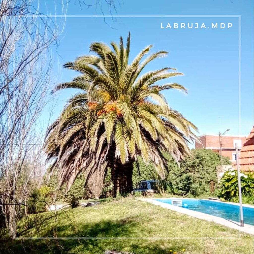 Frente de la casa La Bruja en Mar del Plata
